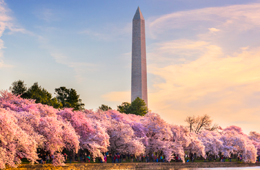 Sior Spring World Conference